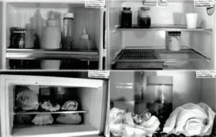 Cannibale Jeffrey Dahmer Frigo
