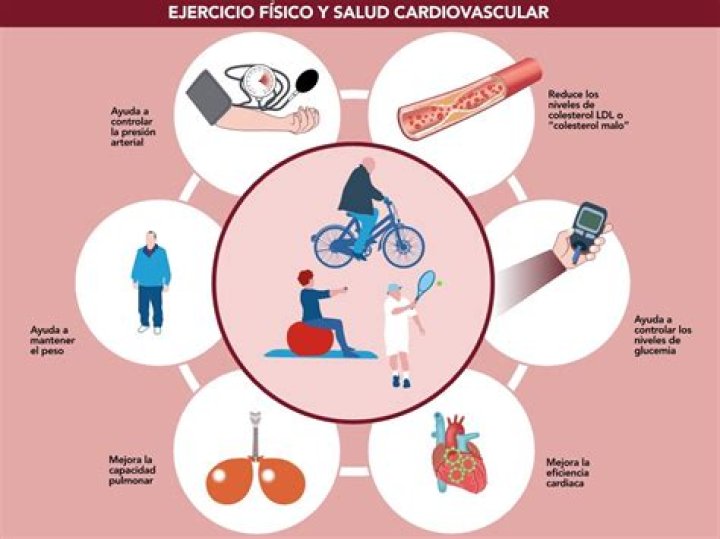 causas, consecuencias y ejercicios para evitarlo
