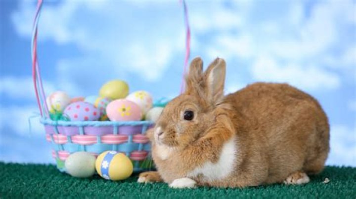 Celebrate Easter with the Grand Opening of Edible Arrangements