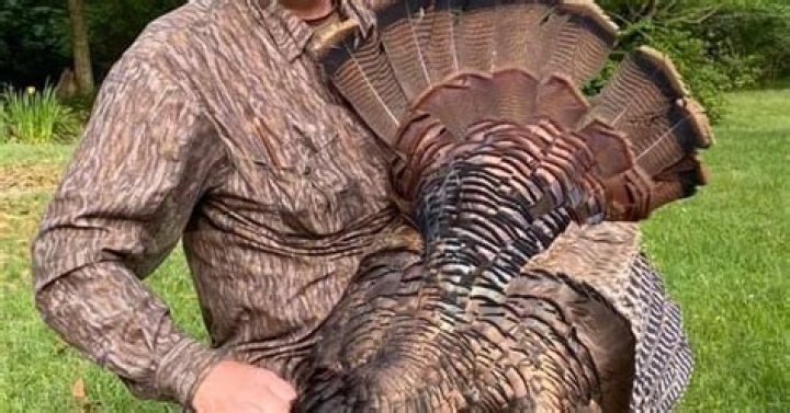 Charles Buck Griffith | Obituaries