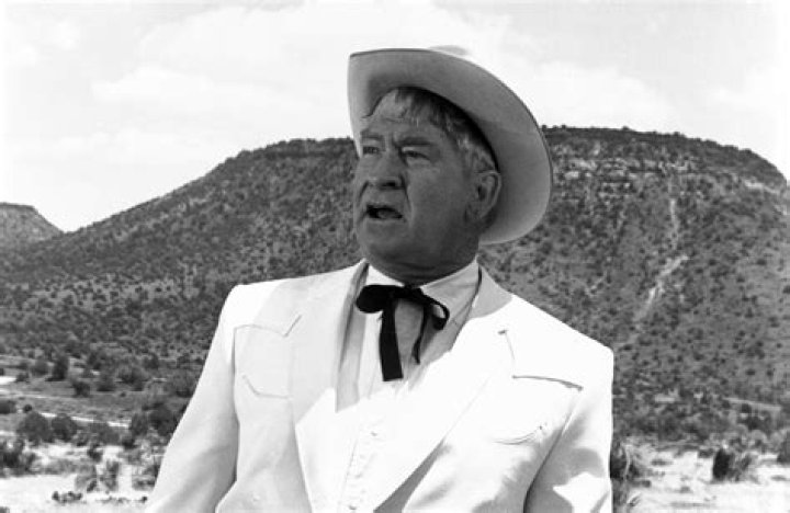 Chill Wills Net Worth 2024