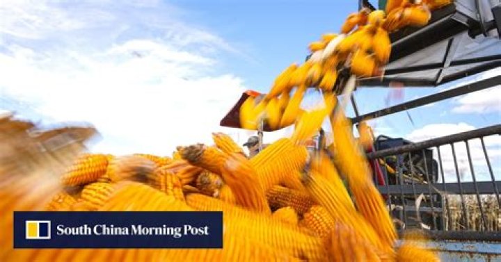 China gets first corn shipment from South Africa, bolstering push to diversify away from US