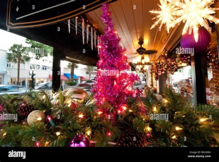 	Christmas on Las Olas in Fort Lauderdale | Photos	