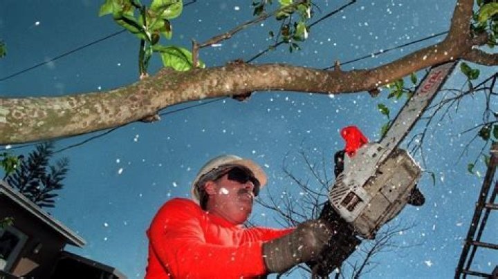 	Citrus canker checks headed to 84,000 households	