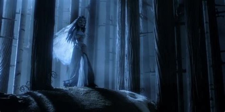 	CORPSE BRIDE ANYTHING BUT STIFF	