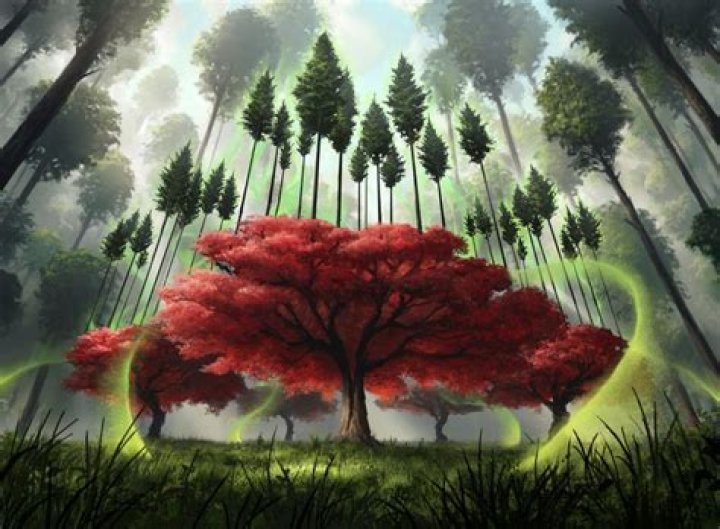 D&D 5E - Experiences with Plant Growth?