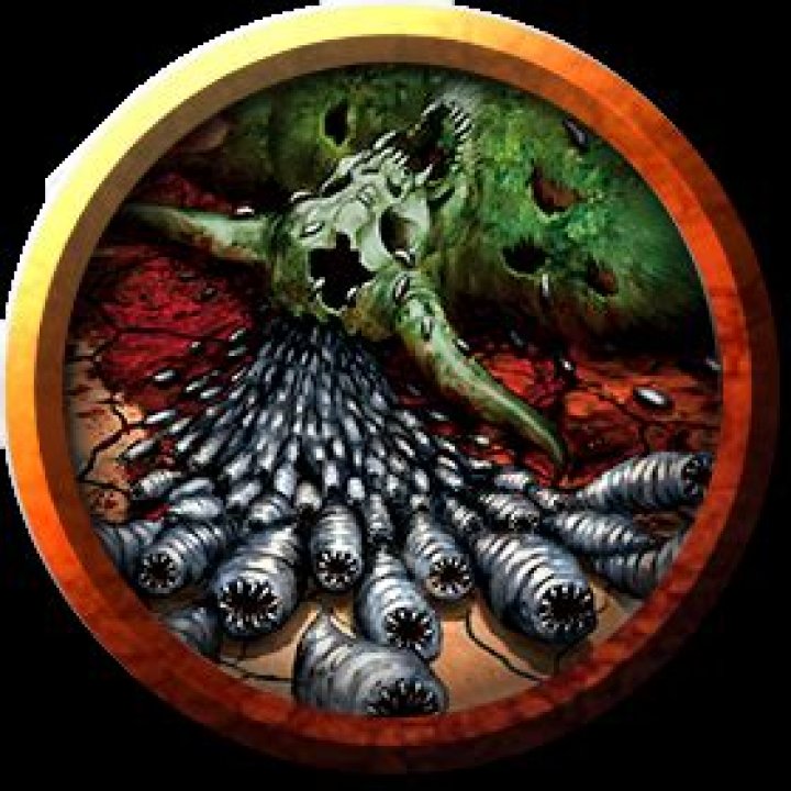 D&D 5E - Rot grubs