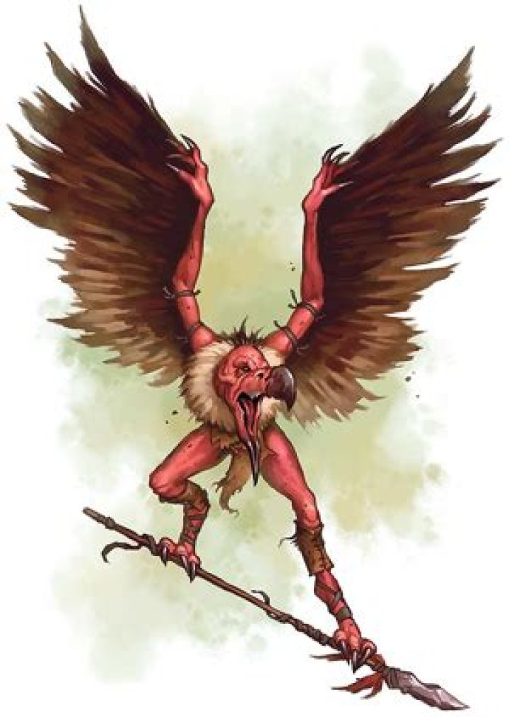 D&D General - Monster ENCyclopedia: Aarakocra