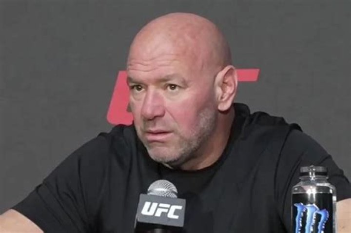 Dana White Vermögen