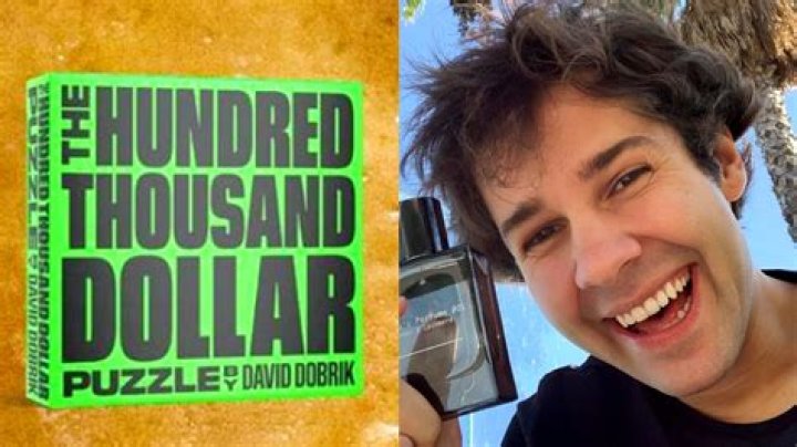 David Dobrik “really scared” after insane number of puzzle entries