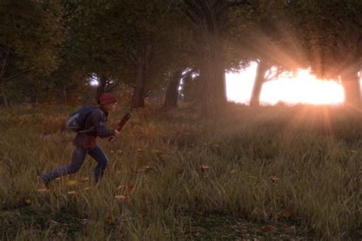 DayZ dev 'effectively doubling' team size, adding cooking system (update)