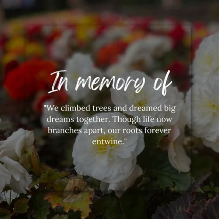 Death Anniversary Quotes: Honoring Memories With Words