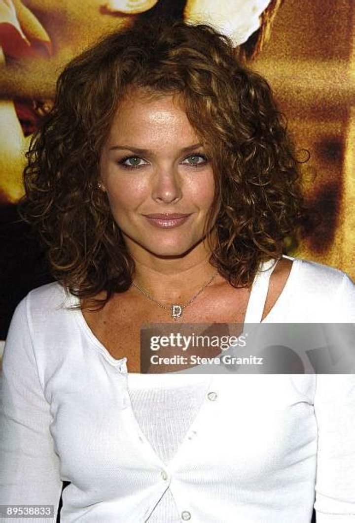 Dina Meyer's Relationships: Unveiling Hidden Truths And Empowering Insights