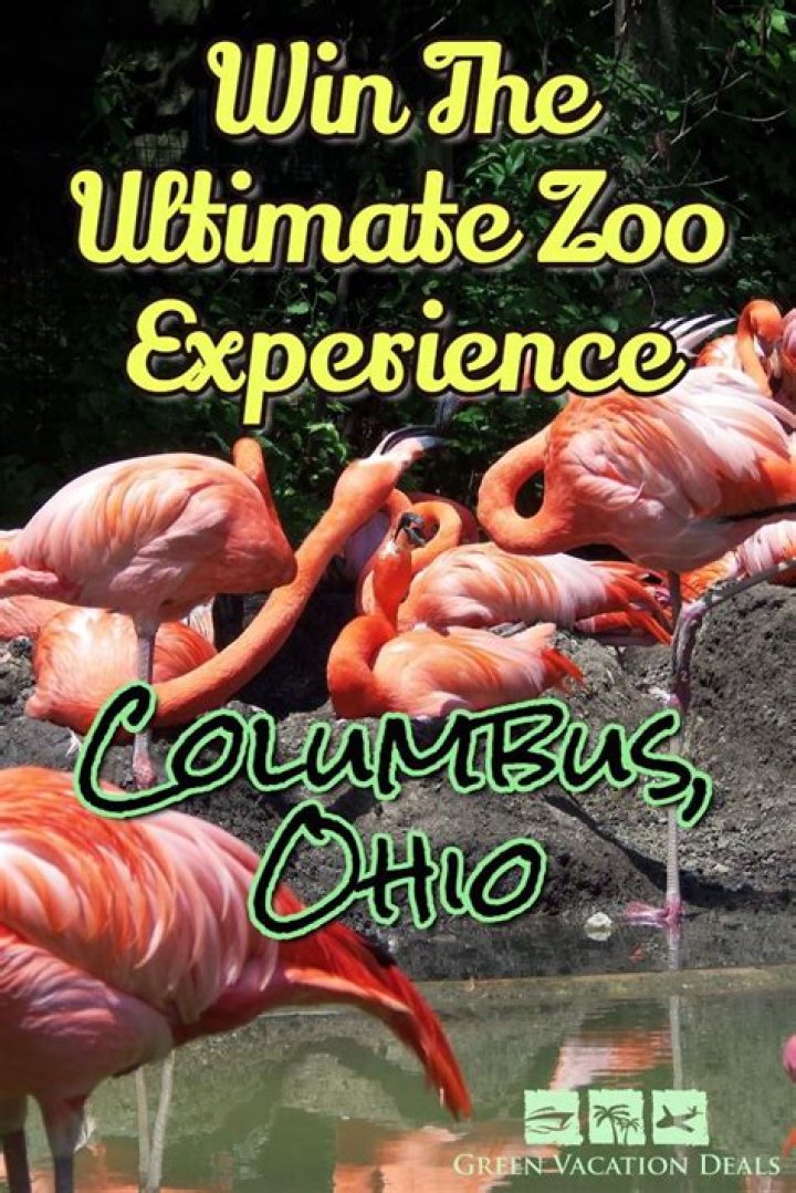 Discovering Zooemoore: A Comprehensive Guide To The Ultimate Zoo Experience
