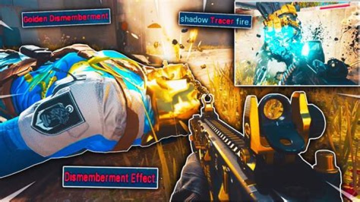 Dismemberment Effect Warzone: How to Turn Off