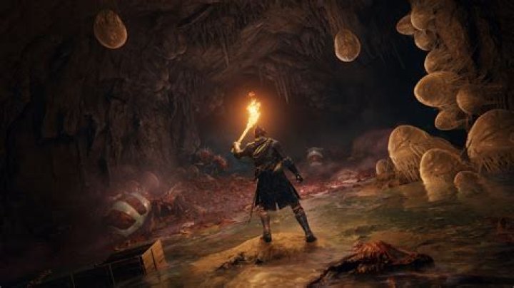 Does Elden Ring Have Ultrawide Monitor Support?