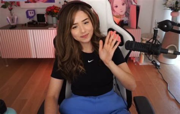 Does Pokimane own EVO? Twitch star's association with fighting tournament explored