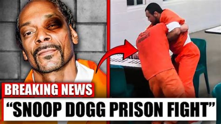 Does Snoop Dogg Have A Criminal Record? An In-Depth Analysis