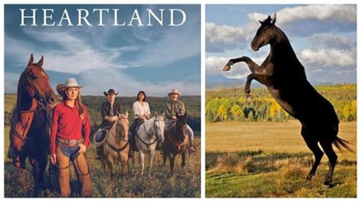 Does Spartan die in Heartland? Rumors explored