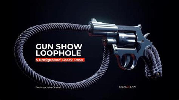 	DON’T FILL LOOPHOLE WITH LOOPHOLE; GET SERIOUS ABOUT GUN SHOW RULES	