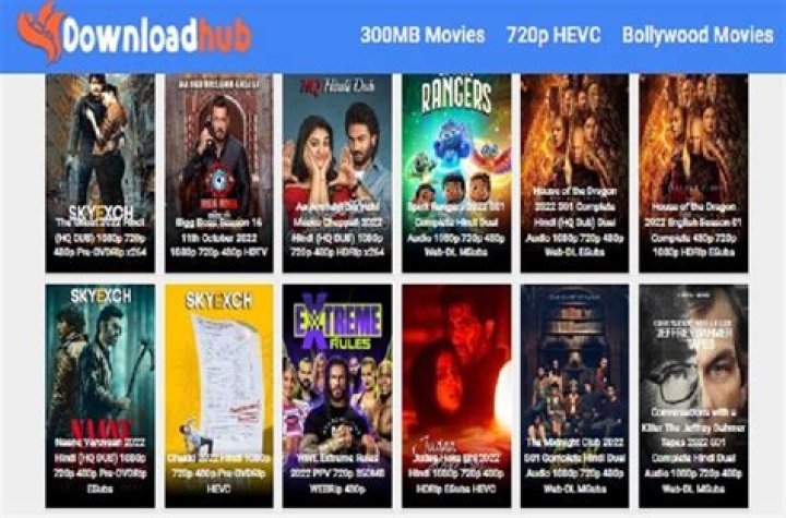 DownloadHub: Your Ultimate Guide To 300MB Movies