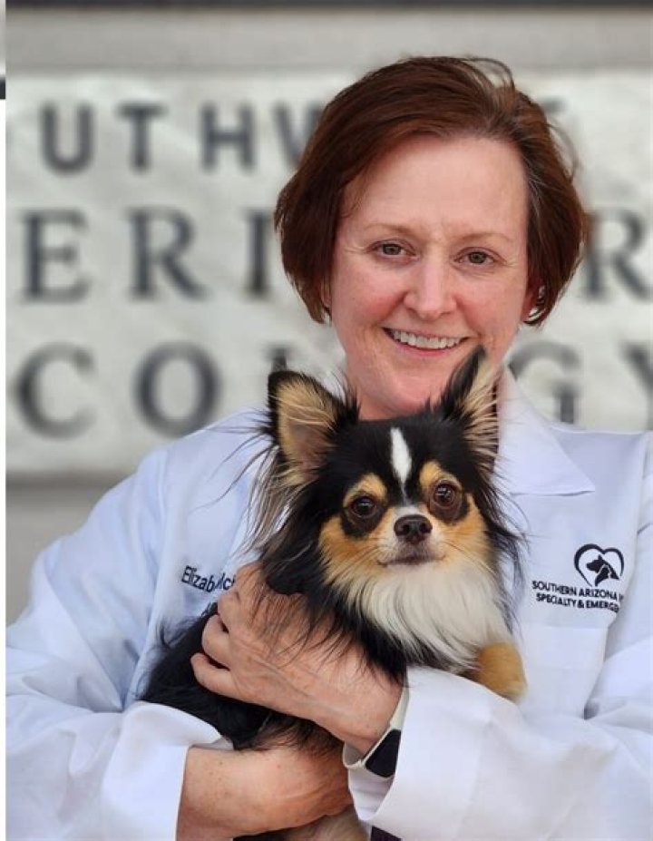 Dr. Elizabeth Grammer DVM: A Champion For Animal Health