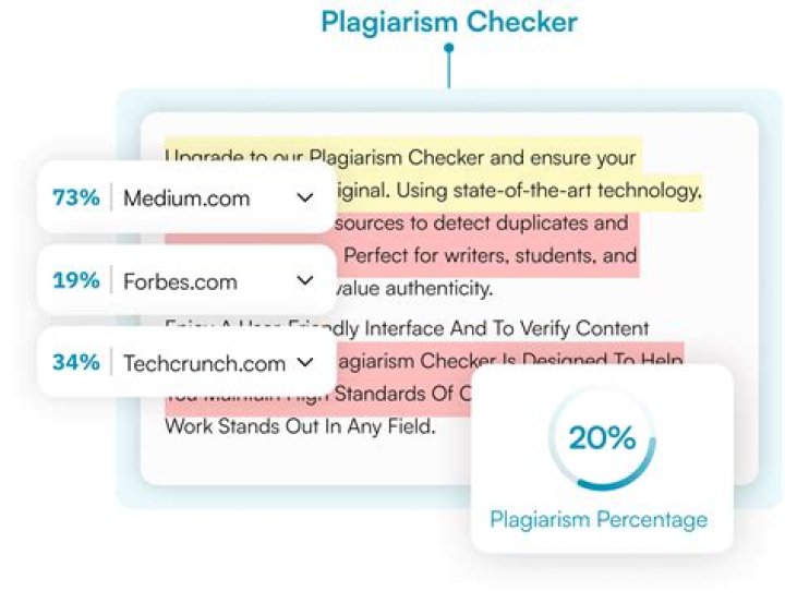 Easily Check Any Text For Plagiarism Online