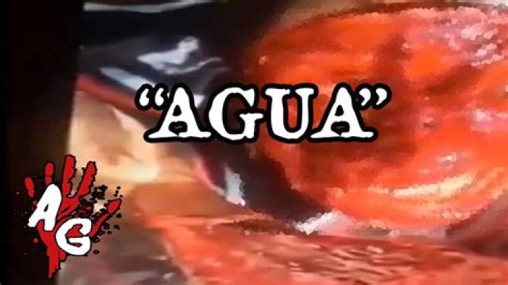 El Video Gore Quiero Agua: An In-Depth Analysis