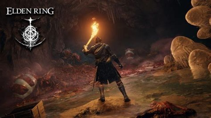 Elden Ring player discovers item that stops the worst enemies from attacking you
