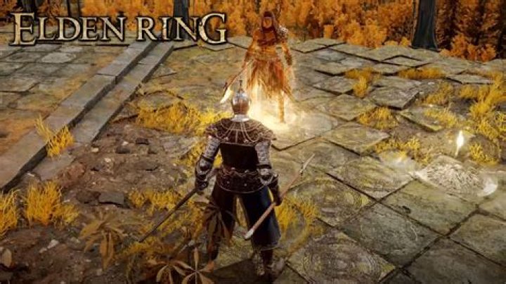 Elden Ring players demand FromSoftware increase multiplayer lobby cap