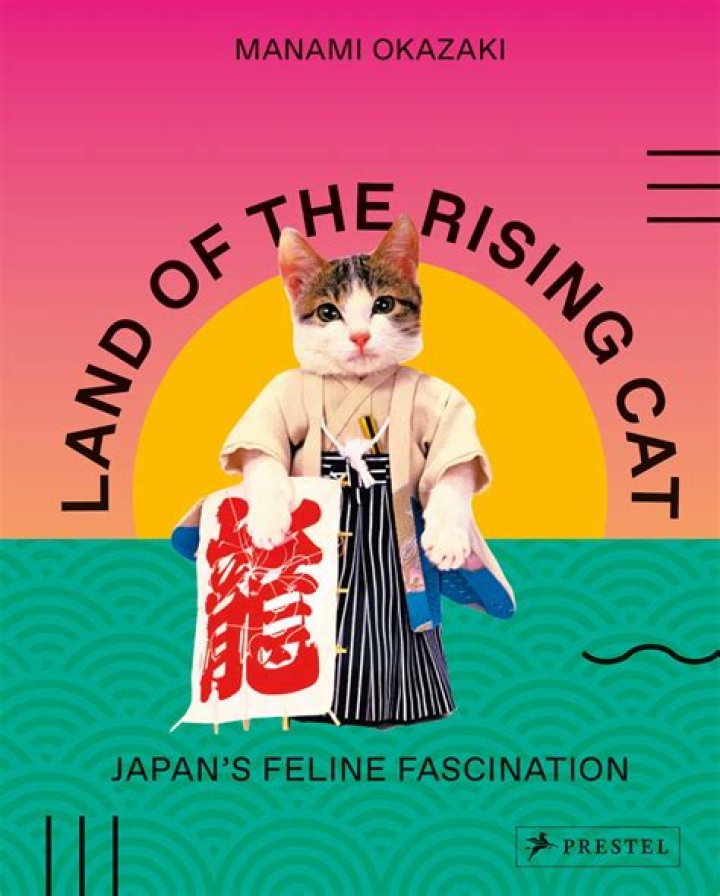 Emiri Okazaki: The Rising Star Of Japanese Entertainment