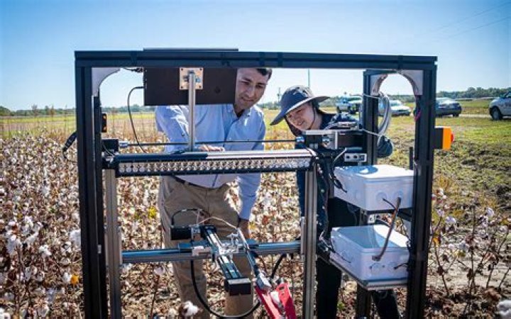 ‘End-effector,’ robotic system developed by MSU engineering team puts autonomous cotton harvesting within reach