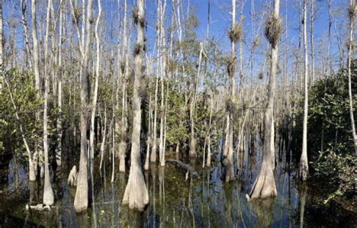 	Enjoying the outdoors is easy in Seminole County	