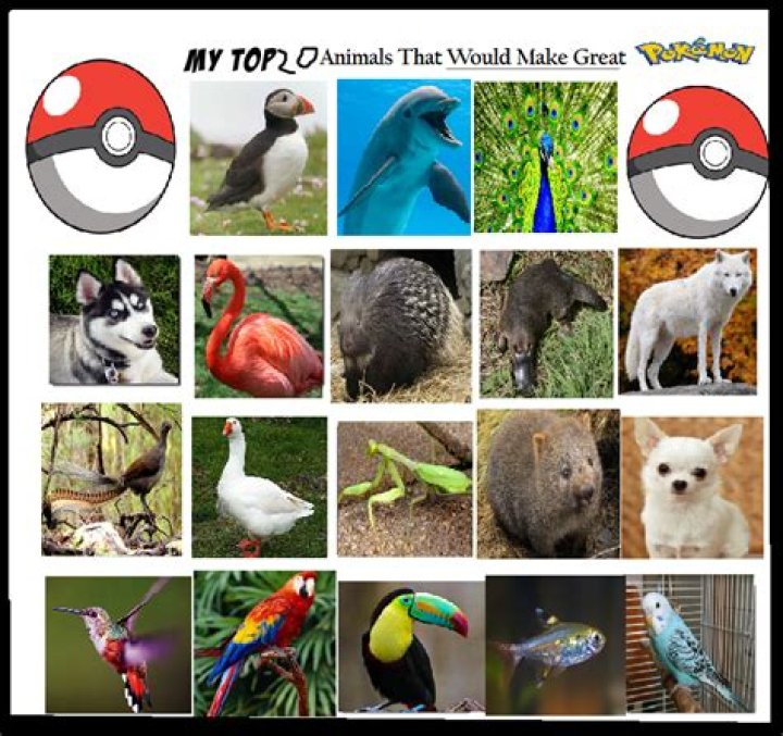 Enough With the Sheep! 5 Way More Interesting Animals That Should Be Pokemon