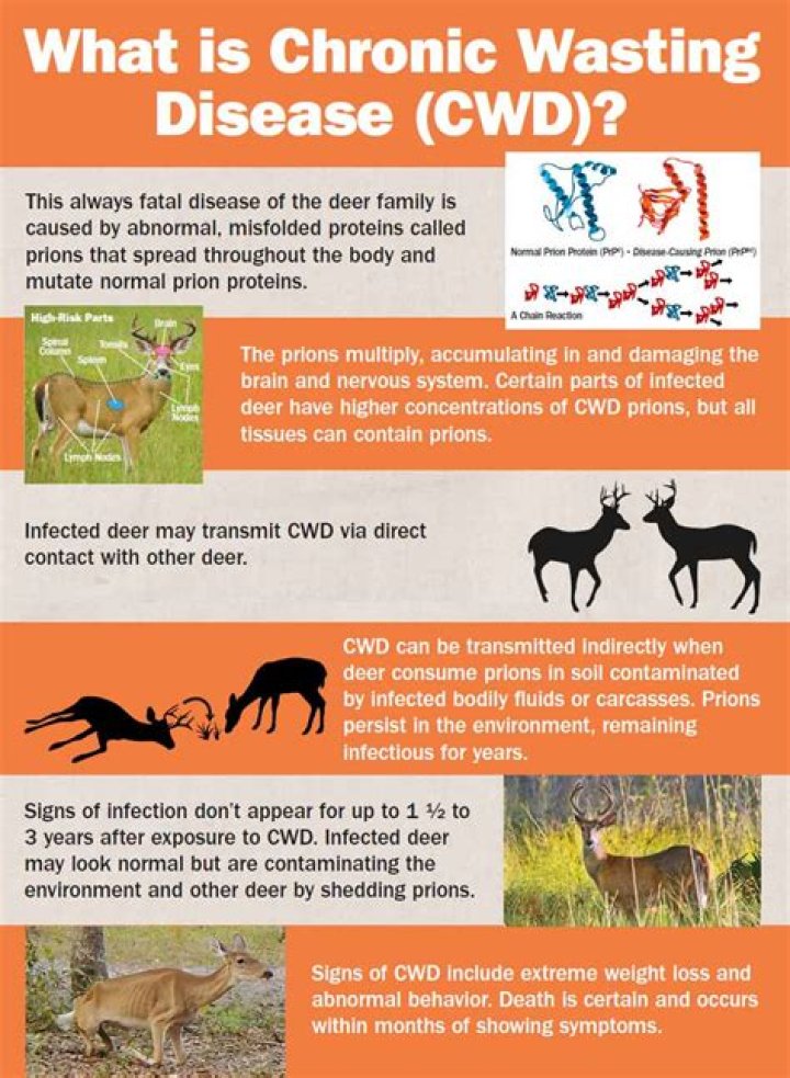 
Environment |	A brain disease in deer is found in Florida, the latest state to detect the illness	