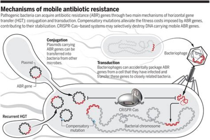 Evolution of Antibiotic-Resistance Mechanisms