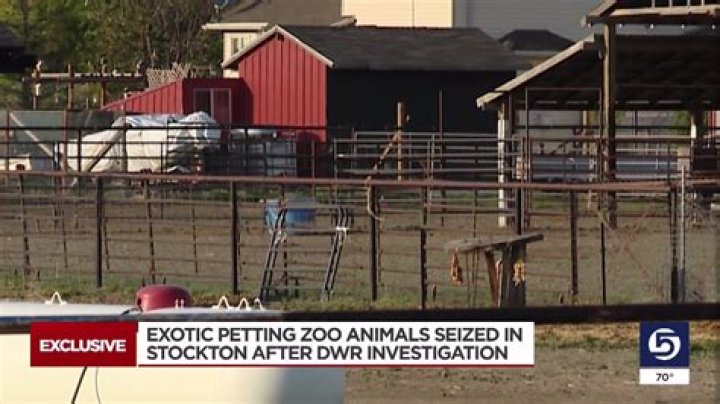 Exotic petting zoo animals seized in Tooele County after DWR investigation