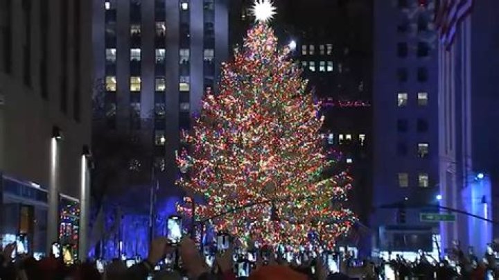 Expect to pay more for a Christmas tree this year