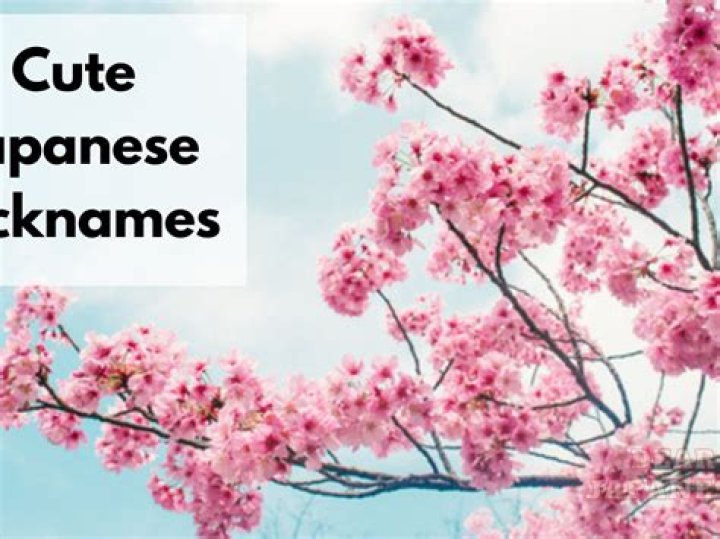 Exploring The Fascinating World Of Japanese Nicknames