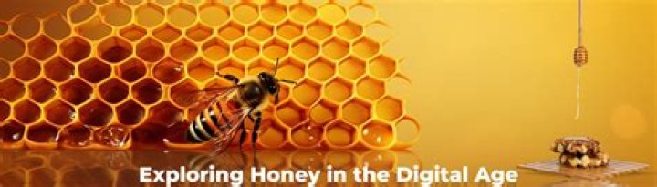 Exploring The Honey Gold Age: A Sweet Time In History