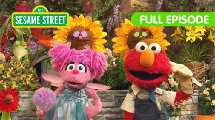 Exploring The Joyful World Of Smileys’ Mom Pregnant On Sesame Street