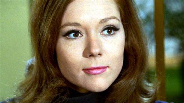 Exploring The Life And Career Of Federica Tommasi