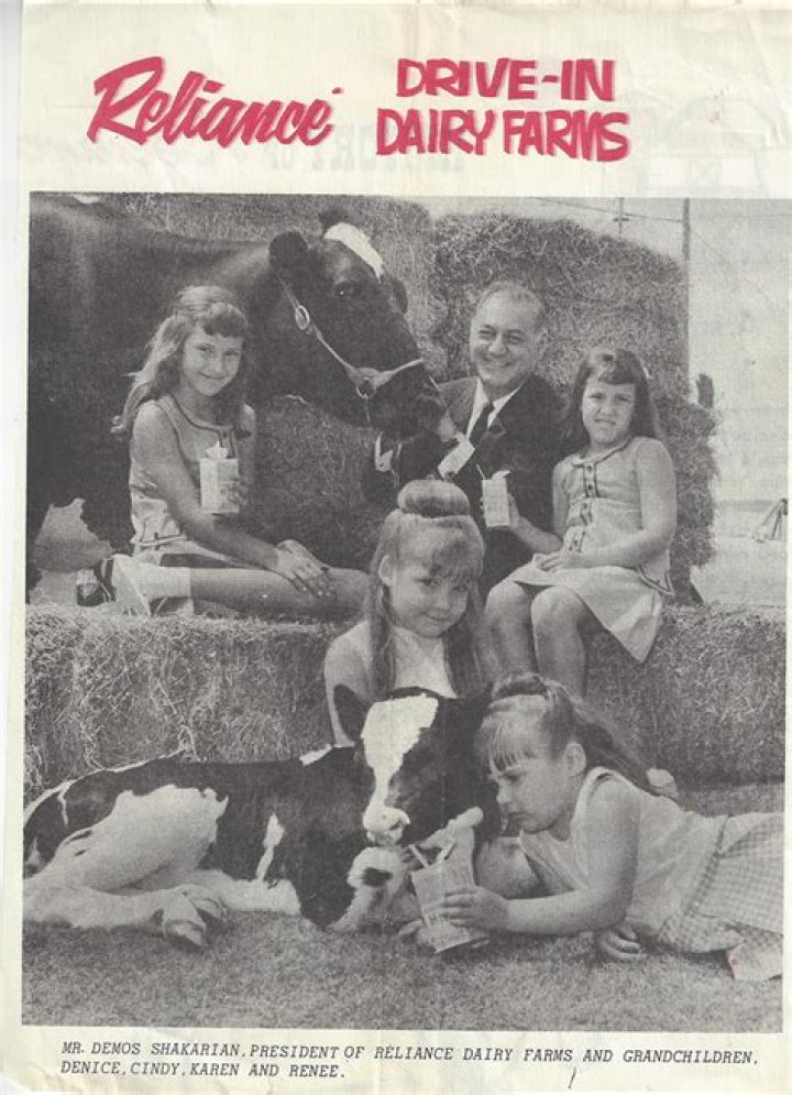 Exploring The Life And Legacy Of Denice Halicki