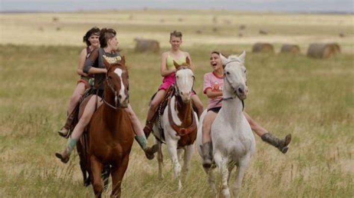 Exploring The Versatile Talent Of Greg Beecroft: A Journey Through Film And Television