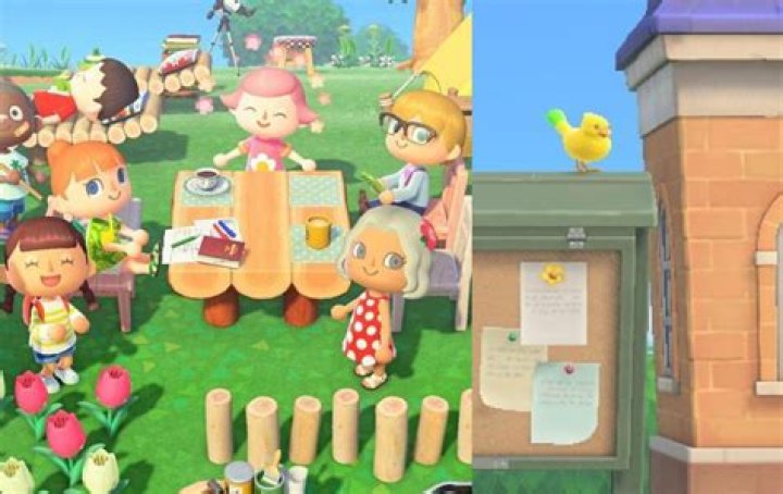 Fact check: Can you catch birds in Animal Crossing: New Horizons?