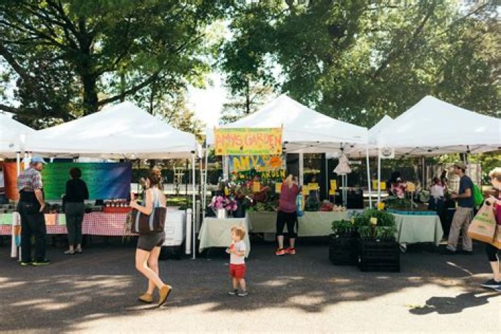 	Feeling green? Here’s a list of farmer’s markets in Broward and Palm Beach counties	