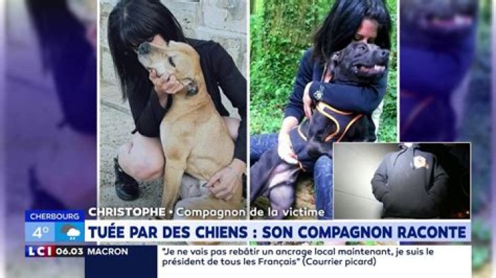 Femme Attaquée Par Ses Chiens
