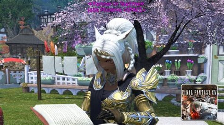 FFXIV: How to Get a Mount