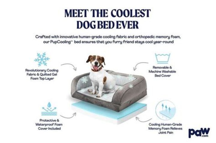 Finding The Comfort: The Best Cooling Orthopedic Dog Bed
