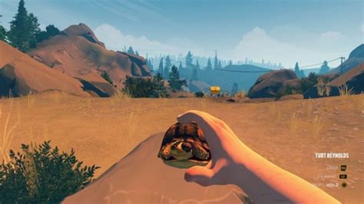 Firewatch: How to Get a Pet Turtle